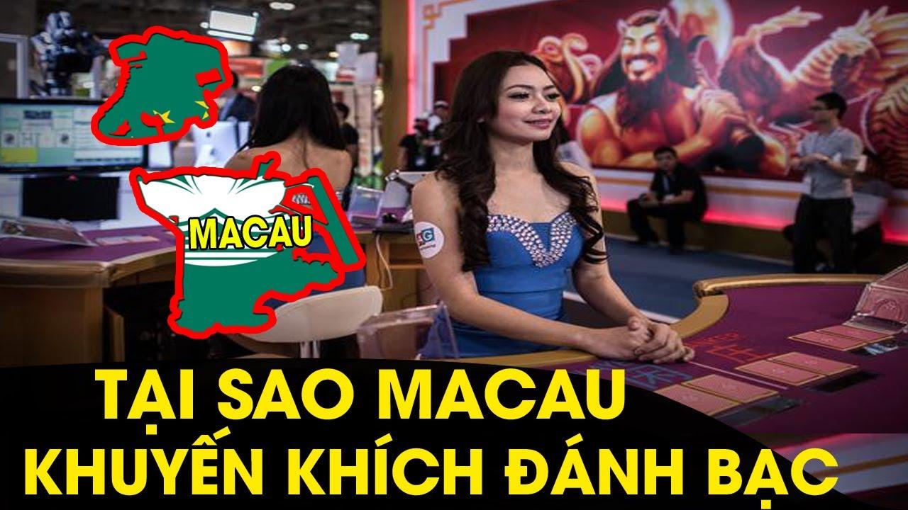 Top các mẹo chơi danh co tuong online giúp bạn thắng mọi trận đấu